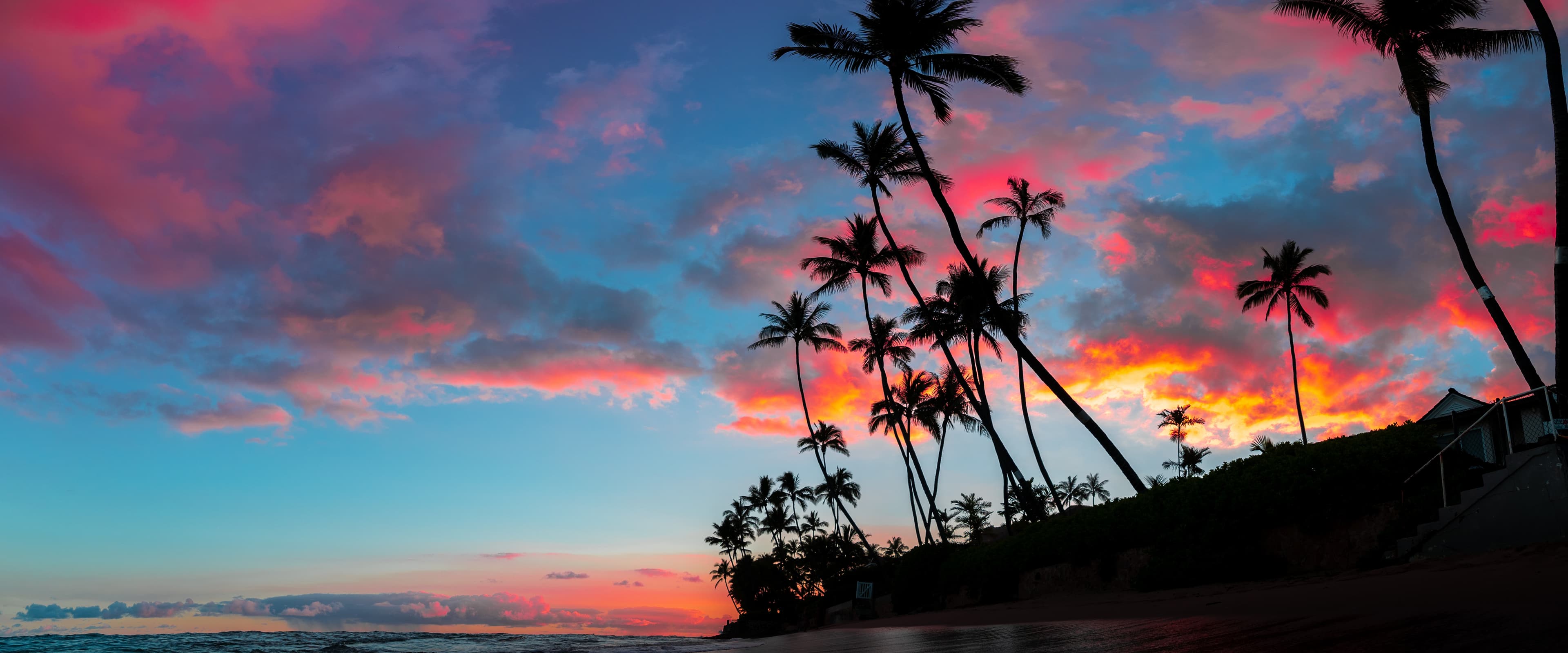 Night palms by the beach