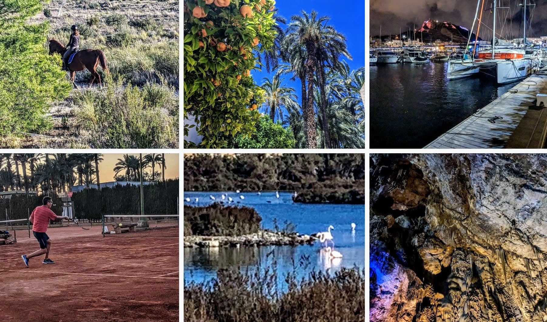 Alicante pictures