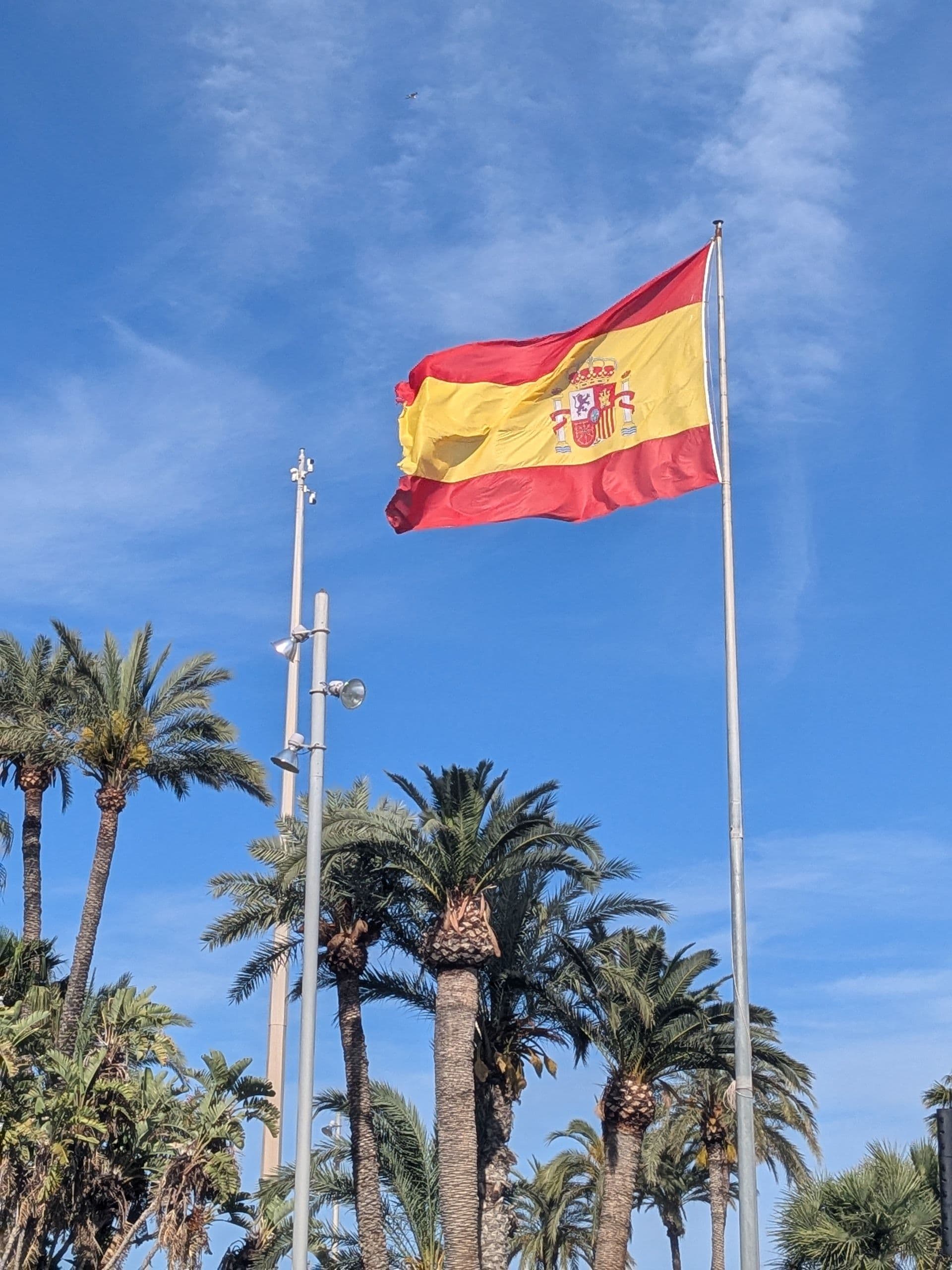 flag photo